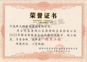 国网山东-**工程