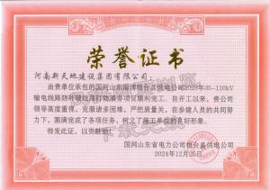 国网山东-**形象企业